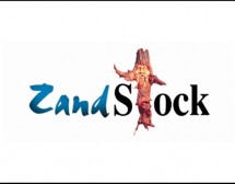 Zandstock, 't zand, 2013, Festival, evenement,