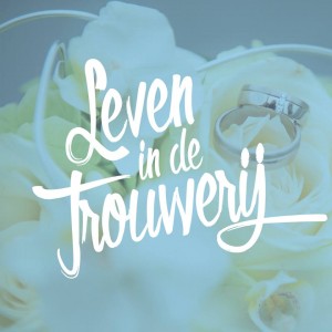 Leven, in, de, trouwerij, bruiloften, feest, pakket,